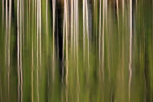 Blur Prints: Colorful abstract impressions of water and reflections