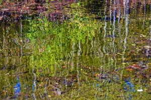 Colorful abstract reflection in lake water