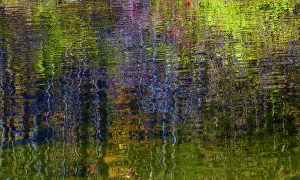 Colorful abstract reflection in lake water