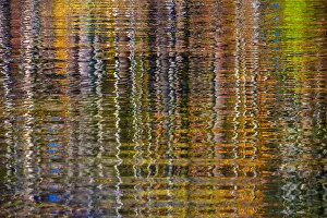 Images Dated 17th July 2016: Colorful abstract reflection in lake water