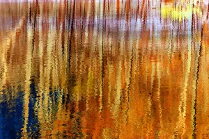 Images Dated 17th July 2016: Colorful abstract reflection in lake water