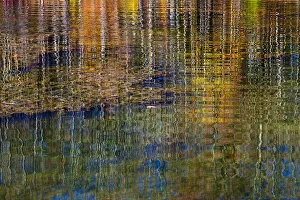 Images Dated 17th July 2016: Colorful abstract reflection in lake water