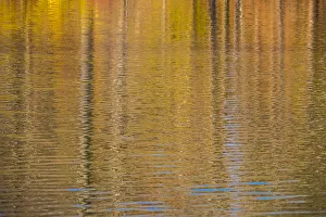 Colorful abstract reflection in lake water