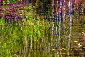 Colorful abstract reflection in lake water