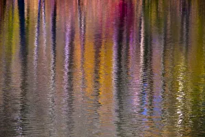 Images Dated 25th June 2019: Colorful abstract reflection in lake water