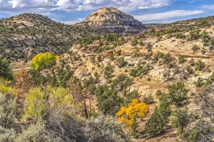 Needles District Prints: Colorful Autumn, Canyonlands National Park, Needles District, Utah