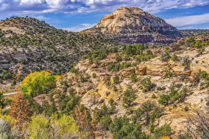 Images Dated 16th July 2021: Colorful Autumn, Canyonlands National Park, Needles District, Utah