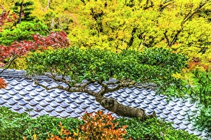 Kyoto Prints: Colorful Autumn foliage, Tofuku-ji Buddhist temple