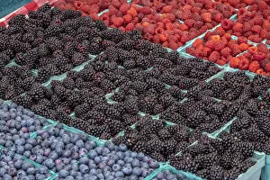 Food & Beverage Gallery: Colorful berries, USA