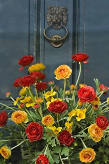Images Dated 29th April 2006: Colorful bouquet adorns door to historic home, Annapolis, Maryland, United States