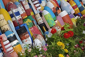 Images Dated 29th January 2010: Colorful buoys, Rockport, Cape Ann, Massachusetts