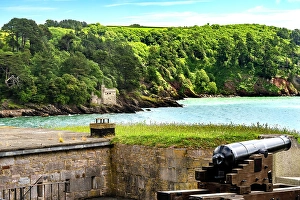 Images Dated 9th July 2024: Colorful cannon Dartmouth Castle