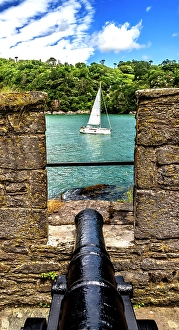 Images Dated 9th July 2024: Colorful cannon Dartmouth Castle