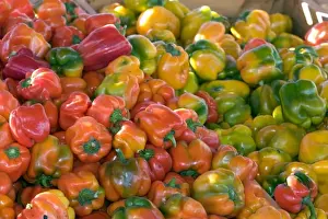 Images Dated 24th October 2007: A colorful display of peppers at a roadside fruit stand in Fruitland, Idaho