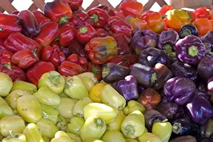 Fruit Stand Prints: A colorful display of peppers at a roadside fruit stand in Fruitland, Idaho
