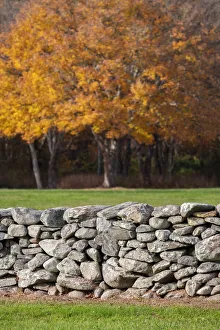 Images Dated 15th March 2022: Colorful fall foliage, New England, USA