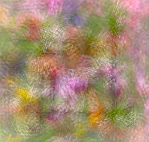Abstract Prints: Colorful floral abstract