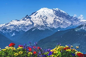 Climbing Prints: Colorful flowers, Mount Rainier