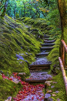 Buddhist Prints: Colorful foliage, garden path