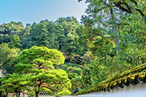 Buddhist Prints: Colorful foliage, , Ginkakuji (Silver Pavilion)
