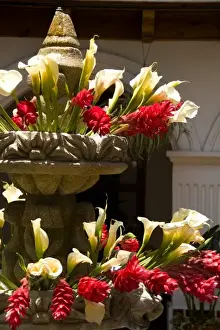 Images Dated 26th April 2020: A colorful fountain in the courtyard with flowers located in front of Hotel Colonial