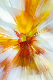 Images Dated 9th April 2016: Colorful glass with blurred motion effect