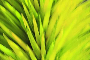 Images Dated 9th April 2016: Colorful glass with blurred motion effect