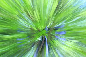 Images Dated 9th April 2016: Colorful glass with blurred motion effect