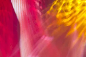 Images Dated 9th April 2016: Colorful glass with blurred motion effect
