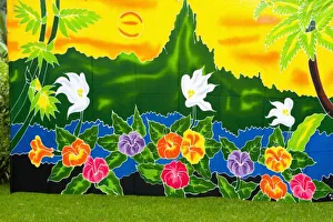 Images Dated 23rd May 2006: Colorful hand painted