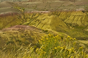 Images Dated 12th September 2016: Colorful hills, Badlands Loop Road, Badlands National Park, South Dakota, USA