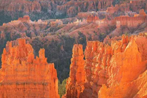 Hoodoo Prints: Colorful hoodoos glowing in morning light