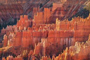 Hoodoo Prints: Colorful hoodoos glowing in morning light