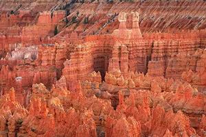 Hoodoo Prints: Colorful hoodoos seen from Sunrise Point, Bryce Canyon National Park, Utah