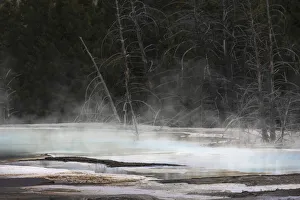 Geothermal Prints: Colorful hot spring on top of Canary Spring