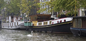 Images Dated 6th September 2007: Colorful houseboast with a white swan swimming near