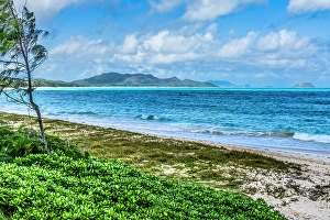 Images Dated 24th January 2024: Colorful Kailua Beach Park Oahu, Hawaii