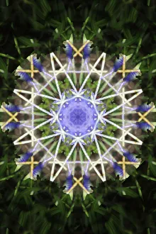 Colorful kaleidoscope