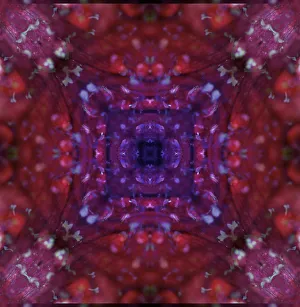 Colorful kaleidoscope