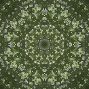 Colorful kaleidoscope