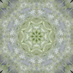 Colorful kaleidoscope