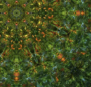 Images Dated 10th July 2019: Colorful kaleidoscope