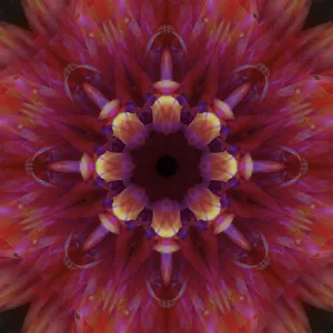 Images Dated 21st October 2019: Colorful kaleidoscope
