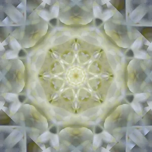 Images Dated 21st October 2019: Colorful kaleidoscope