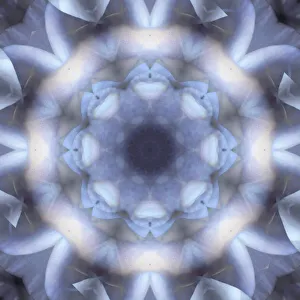 Images Dated 21st October 2019: Colorful kaleidoscope