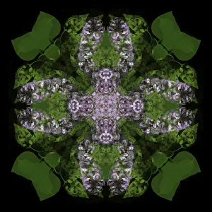 Images Dated 10th July 2019: Colorful kaleidoscope