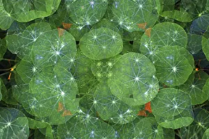 Colorful kaleidoscope