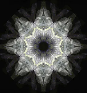 Images Dated 21st October 2019: Colorful kaleidoscope
