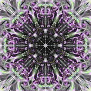 Images Dated 21st October 2019: Colorful kaleidoscope