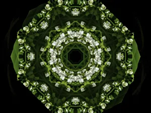 Images Dated 10th July 2019: Colorful kaleidoscope